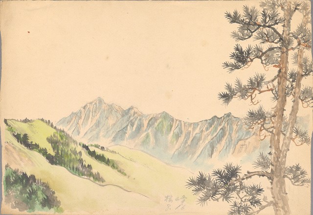 藏品:櫻峰的(1)張圖片