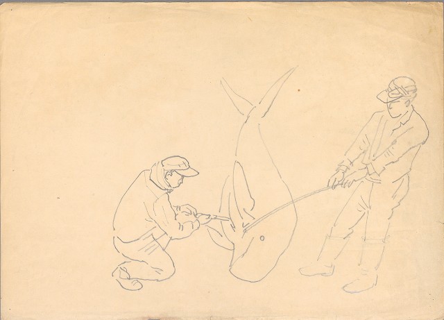 藏品:(1)蘭嶼少婦；(2)殺海豚的(2)張圖片