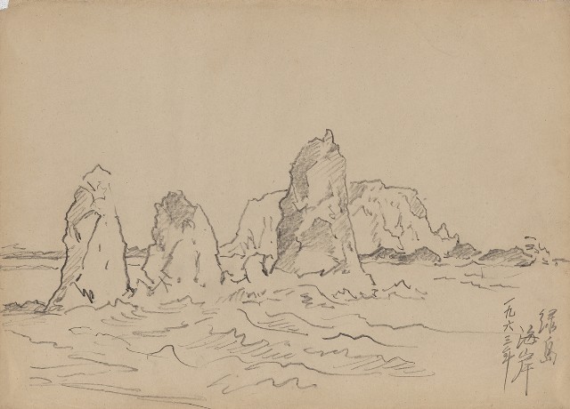 藏品:綠島海岸的(1)張圖片