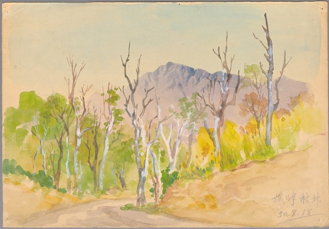 藏品:梅峰秋林的(1)張圖片