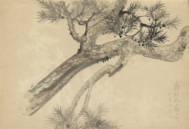 藏品:(1)霧社孔廟前（松）；(2)啞口的(1)張圖片