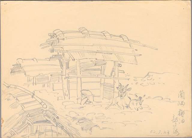 藏品:蘭嶼椰油部落的(1)張圖片