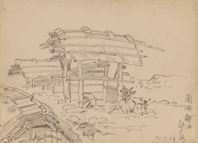 藏品:蘭嶼椰油部落的(1)張圖片