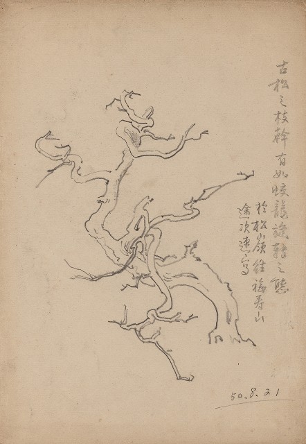 藏品:古松之枝幹的(1)張圖片