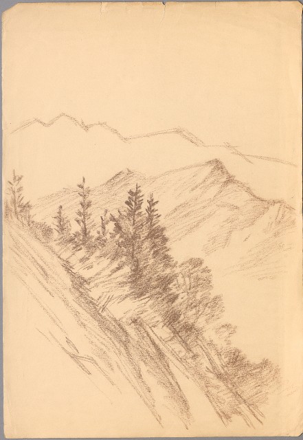 藏品:高山的(1)張圖片