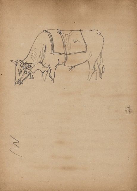 藏品:牛的(1)張圖片