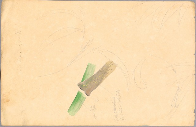 藏品:(1)鄒族勇士 （頭像）；(2)芒草的(3)張圖片