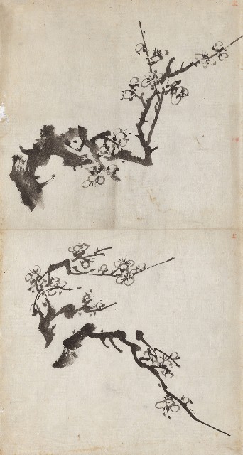 藏品:梅花的(1)張圖片