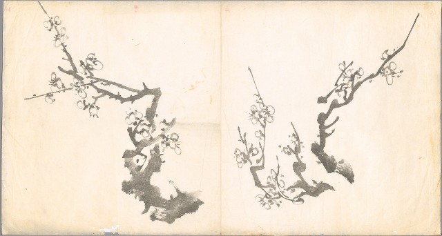 藏品:梅花的(1)張圖片