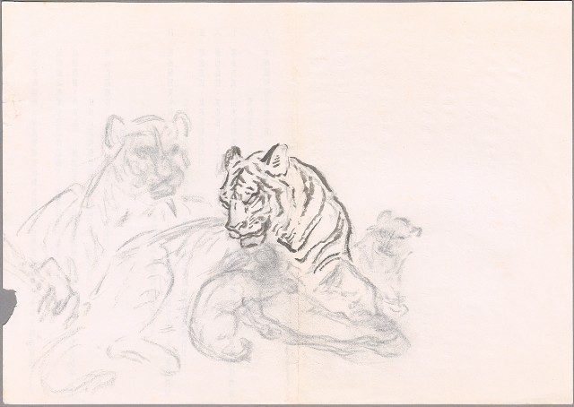 藏品:老虎的(1)張圖片