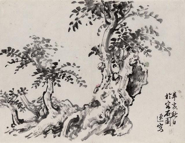 藏品:老樹的(1)張圖片