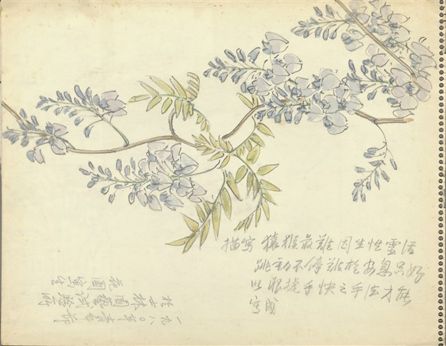 藏品:(1)紫藤紫色花；(2)峇里島特色十景及山的(1)張圖片