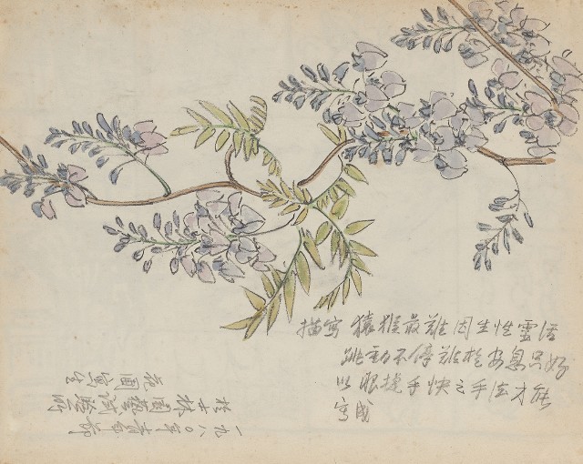 藏品:(1)紫藤紫色花；(2)峇里島特色十景及山的(1)張圖片