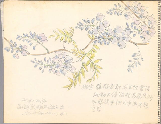 藏品:(1)紫藤紫色花；(2)峇里島特色十景及山的(2)張圖片