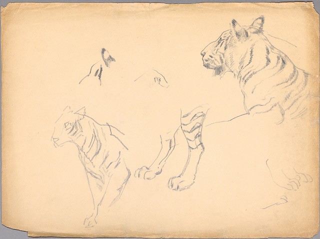 藏品:(1)老虎局部 （頭腳）；(2)老虎局部 （身部分腳）的(2)張圖片