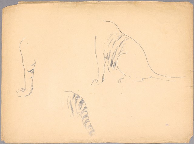 藏品:(1)老虎局部 （頭腳）；(2)老虎局部 （身部分腳）的(3)張圖片