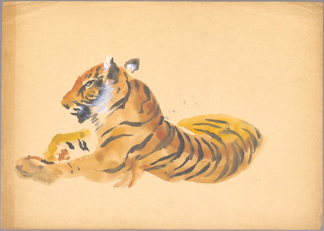 藏品:(1)虎─蹲坐 （彩色）；(2)虎一蹲坐一休睡的(2)張圖片