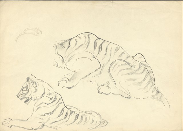 藏品:(1)虎一蹲坐一無頭深；(2)站立虎及一尾一腳的(1)張圖片