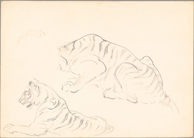 藏品:(1)虎一蹲坐一無頭深；(2)站立虎及一尾一腳的(2)張圖片