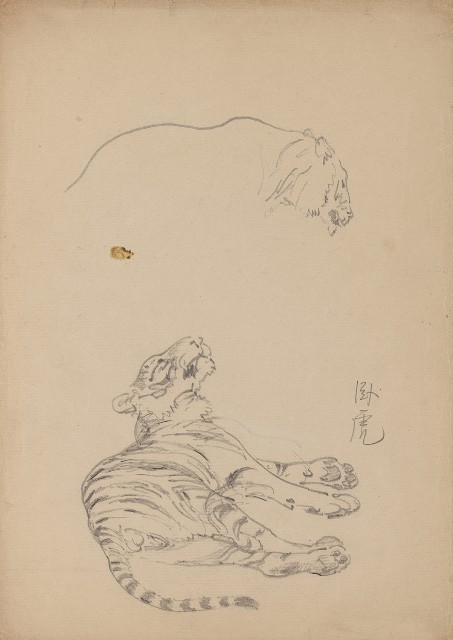 藏品:(1)休閑老虎；(2)臥虎的(2)張圖片