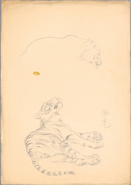 藏品:(1)休閑老虎；(2)臥虎的(3)張圖片