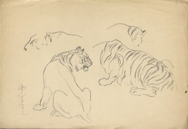 藏品:(1)老虎局部；(2)老虎動作的(1)張圖片