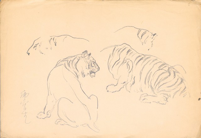 藏品:(1)老虎局部；(2)老虎動作的(2)張圖片