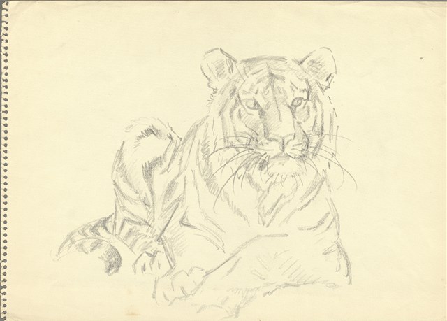 藏品:(1)虎坐姿；(2)虎站姿的(1)張圖片