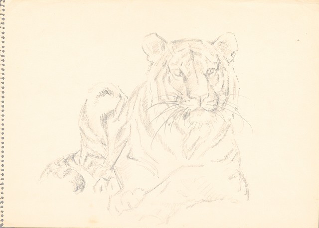 藏品:(1)虎坐姿；(2)虎站姿的(2)張圖片