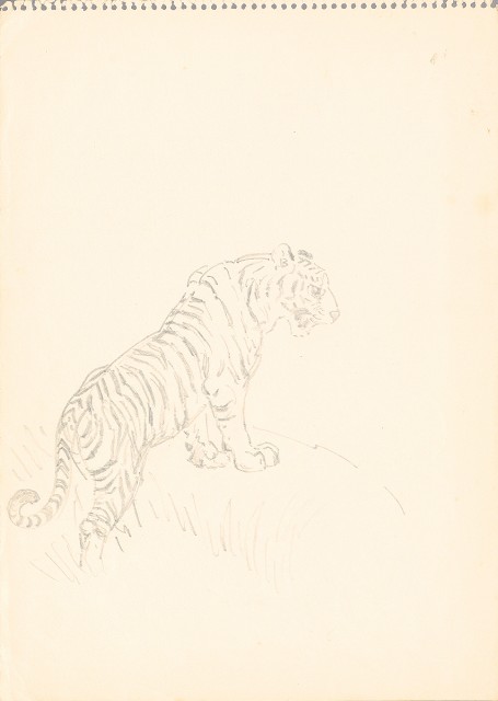 藏品:(1)虎坐姿；(2)虎站姿的(3)張圖片