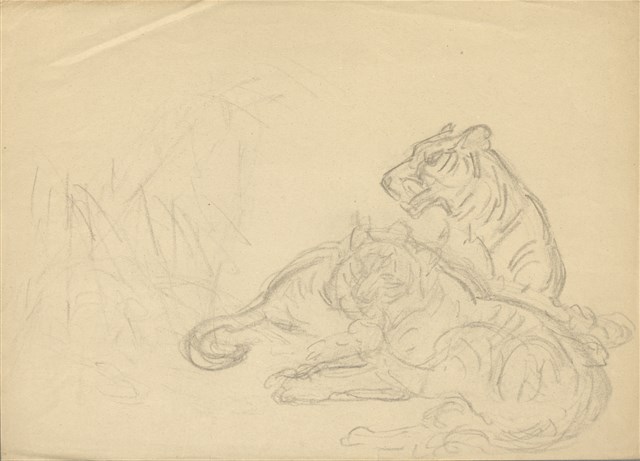 藏品:(1)虎（草稿 ）；(2)兔群的(1)張圖片