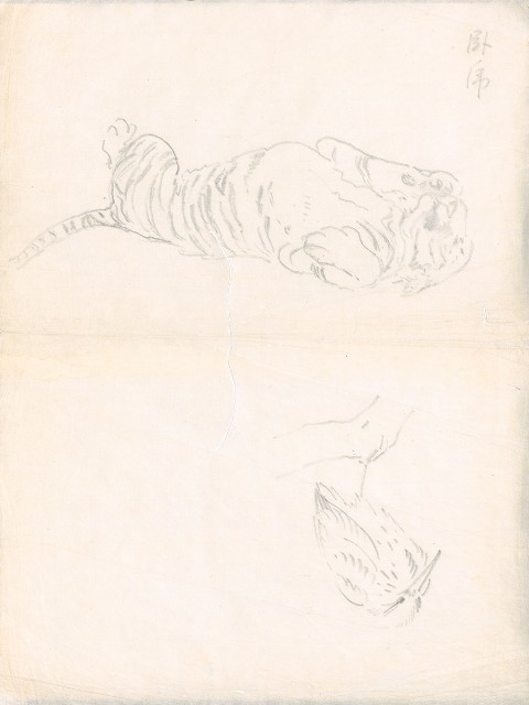 藏品:臥虎及夜露鳥的(1)張圖片