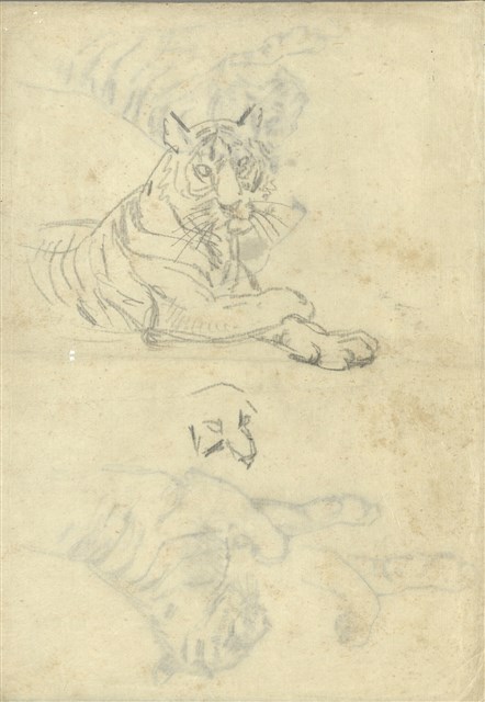 藏品:(1)坐虎；(2)（坐姿）虎的(1)張圖片