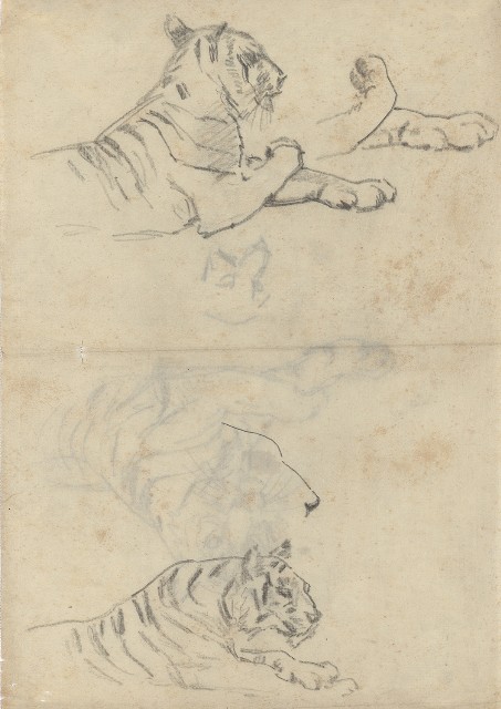 藏品:(1)坐虎；(2)（坐姿）虎的(2)張圖片