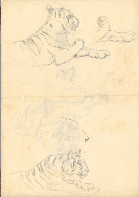 藏品:(1)坐虎；(2)（坐姿）虎的(3)張圖片