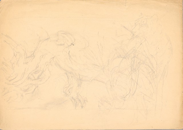 藏品:(1)雌獅（彩色）；(2)虎樹草稿的(3)張圖片