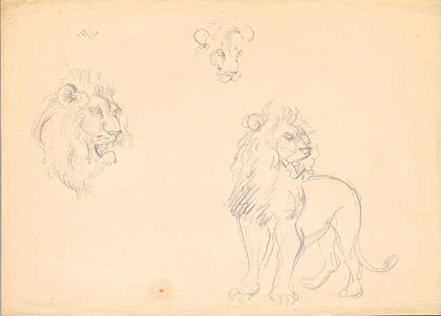 藏品:(1)雄獅頭部；(2)雄獅及頭腳的(1)張圖片