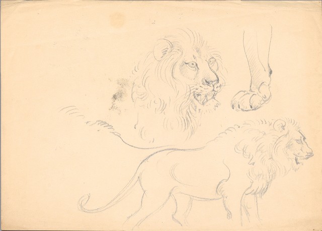 藏品:(1)雄獅頭部；(2)雄獅及頭腳的(2)張圖片