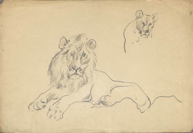 藏品:(1)雄獅；(2)小水鴨 （彩色)的(1)張圖片