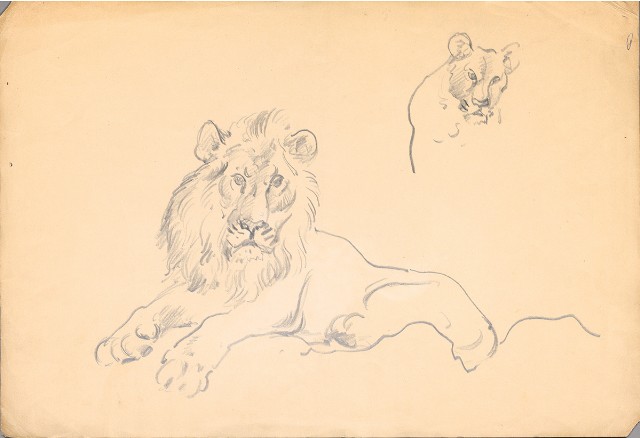 藏品:(1)雄獅；(2)小水鴨 （彩色)的(2)張圖片