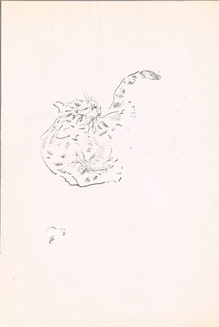 藏品:豹（彩印本）的(1)張圖片