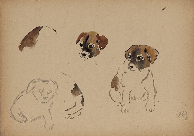 藏品:(1)小狗；(2)小狗的(1)張圖片