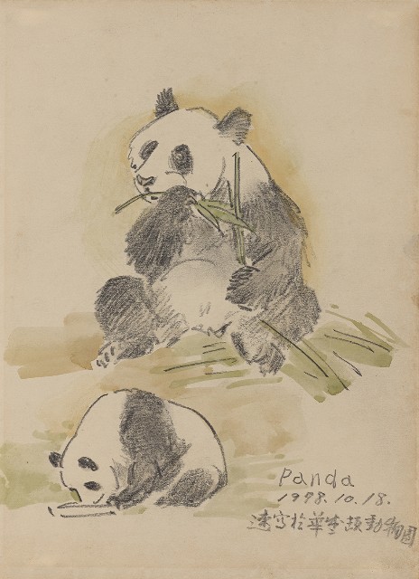 藏品:貓熊的(1)張圖片