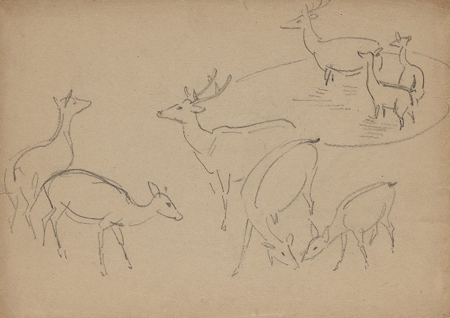藏品:(1)鹿各種姿態；(2)真鶴的(1)張圖片