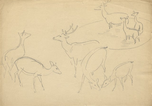 藏品:(1)鹿各種姿態；(2)真鶴的(1)張圖片