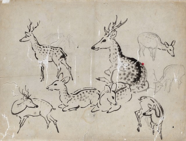 藏品:小雄雌鹿各 姿態的(1)張圖片