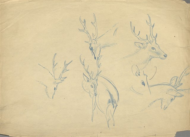 藏品:(1)雄鹿；(2)雄鹿的(1)張圖片
