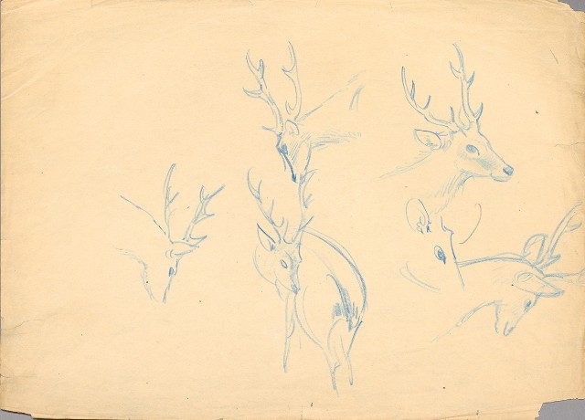 藏品:(1)雄鹿；(2)雄鹿的(2)張圖片