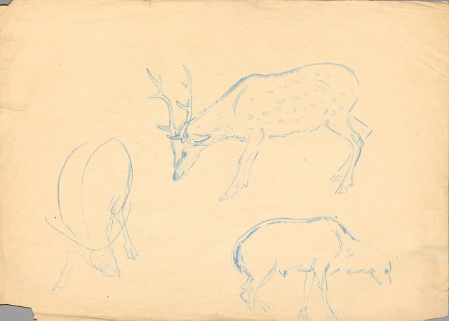 藏品:(1)雄鹿；(2)雄鹿的(3)張圖片