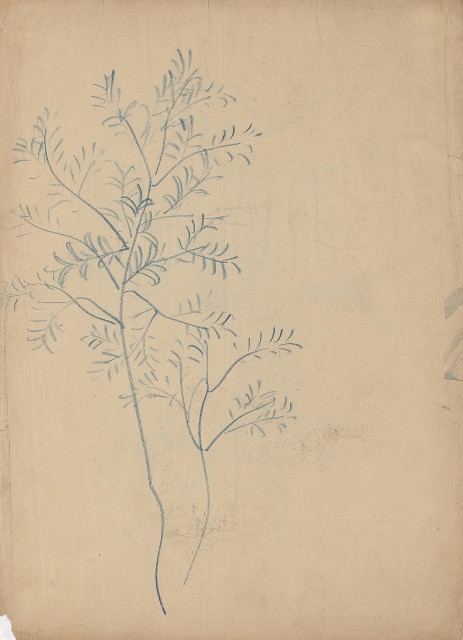 藏品:(1)小鹿；(2)小樹的(2)張圖片